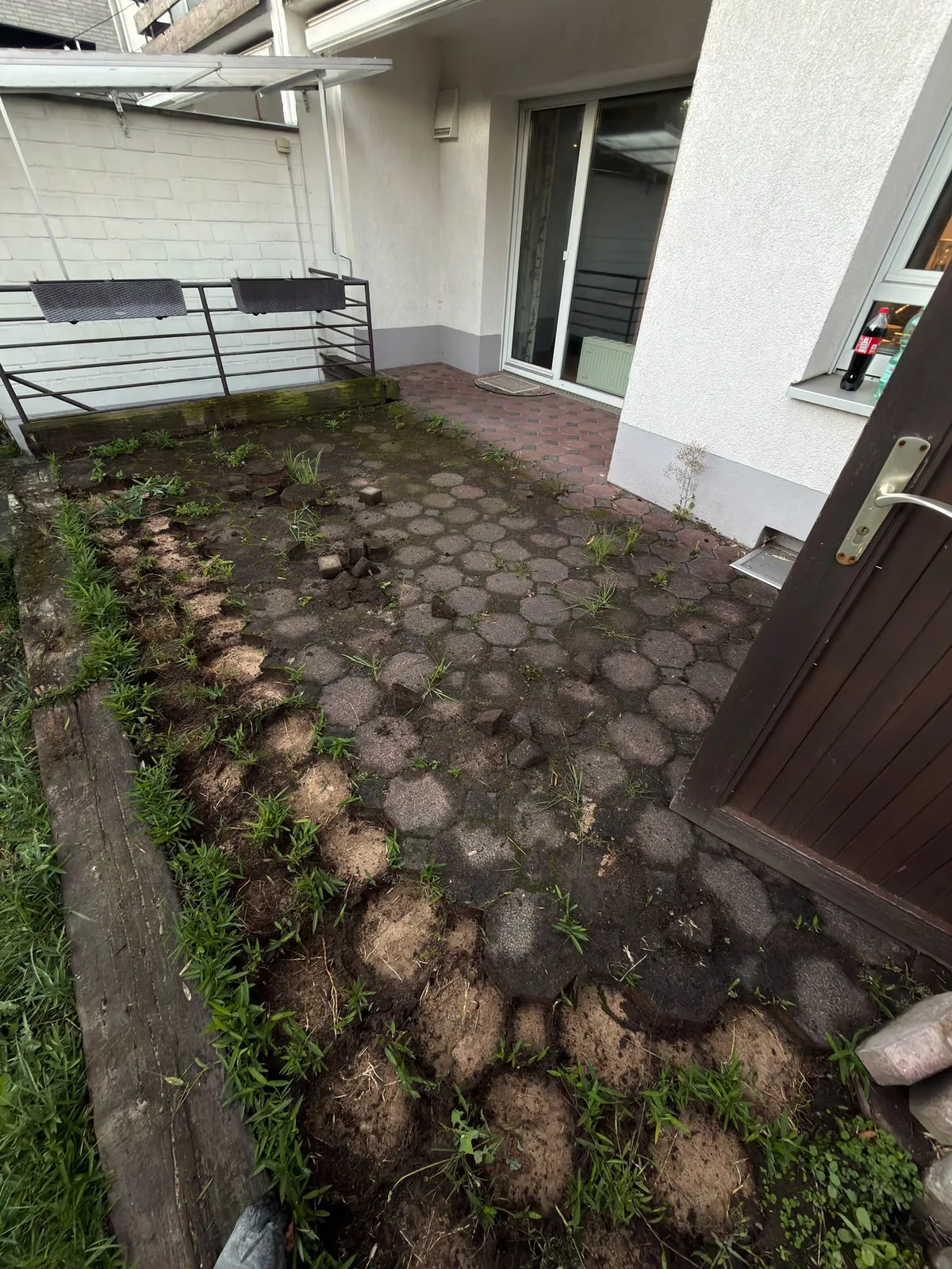 Alte, zugewachsene Terrasse aus Wabenpflaster, teilweise schon aufgenommen